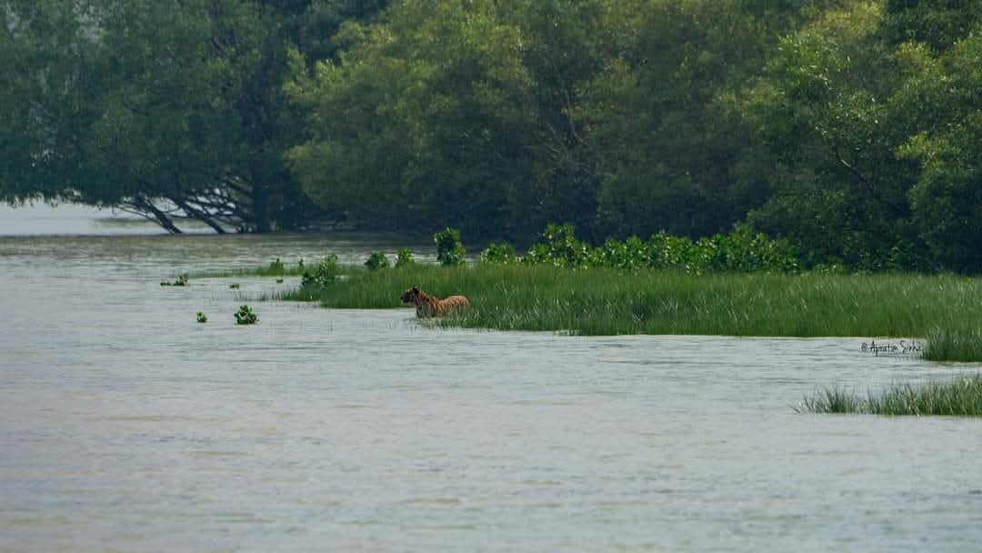 images/WhatsApp Image 2025-12-02 at 7.39.54 PM (1).jpeg